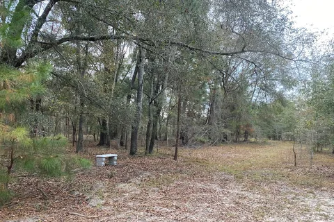 Hidden Forest RV Club