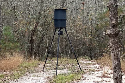 Hidden Forest RV Club