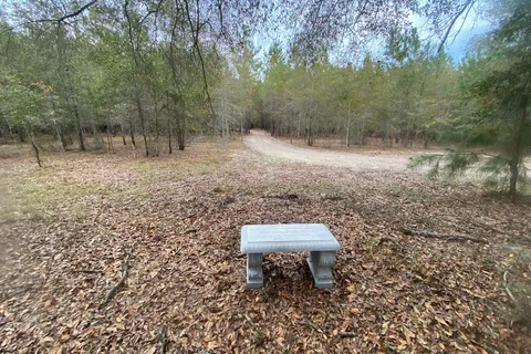 Hidden Forest RV Club
