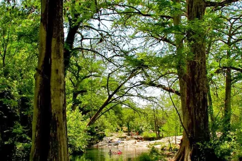 Krause Springs