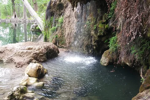 Krause Springs