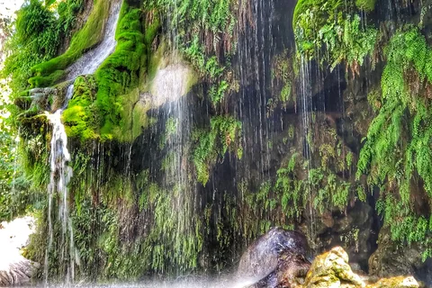 Krause Springs