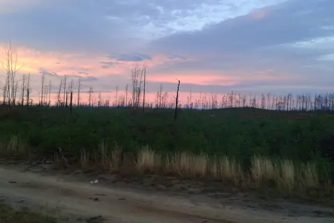 Newberry Campground