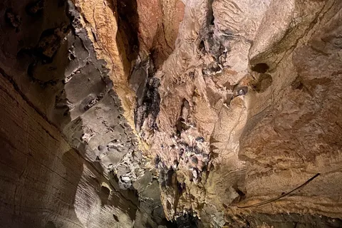 Appalachian Caverns Campground