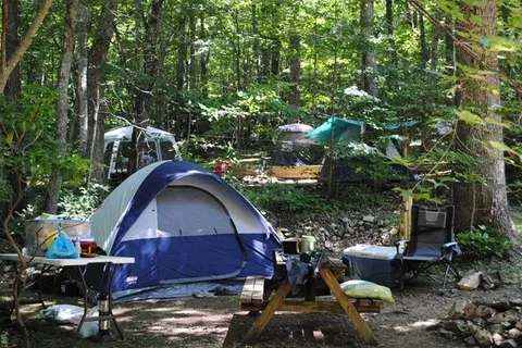 Daddy Rabbits Campground