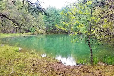 Daddy Rabbits Campground
