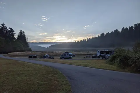 Elk Prairie - Prairie Creek Redwoods State Park