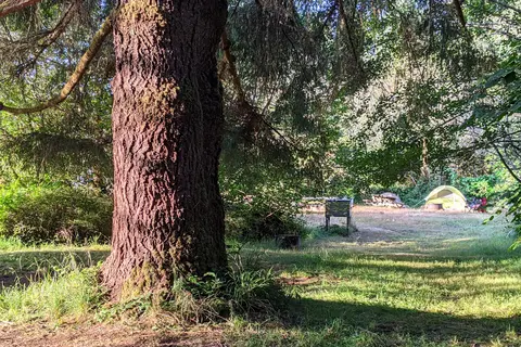 Elk Prairie - Prairie Creek Redwoods State Park
