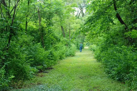 Cider House Campground