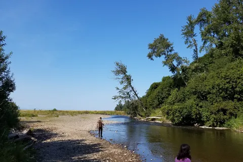 Halibut Campground - Anchor River State Recreation Area