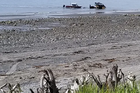 Halibut Campground - Anchor River State Recreation Area