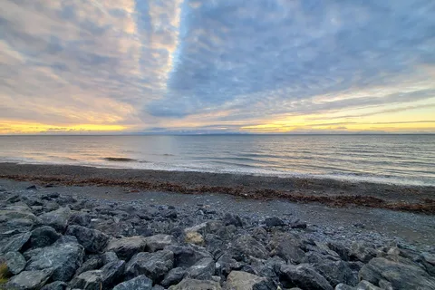 Halibut Campground - Anchor River State Recreation Area