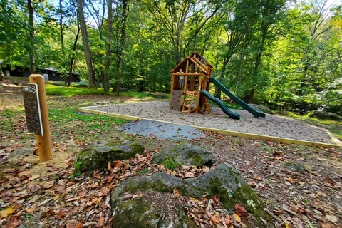 Tygart Lake State Park