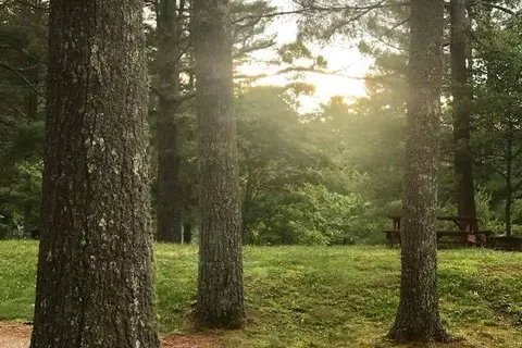 Rose Creek Campground and Cabins