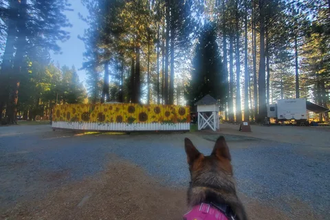 Movin' West RV Park