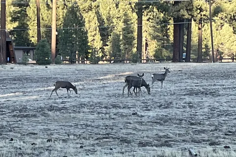 Movin' West RV Park