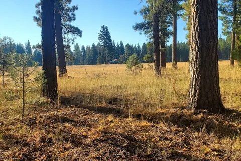 Movin' West RV Park