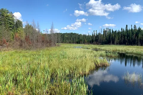Sandbar Lake Provincial Park