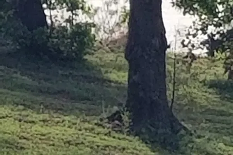 Sunset Cove - Fort Cobb State Park