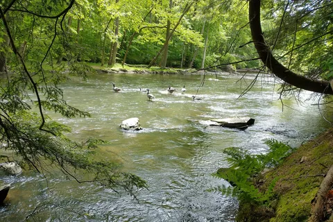 Mohican State Park