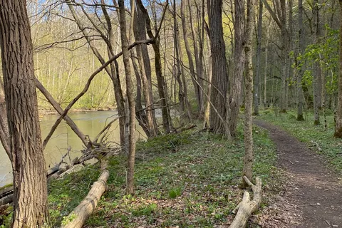 Mohican State Park