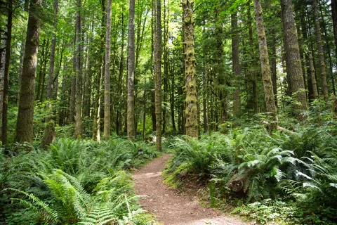 Mt Hood Village RV Resort