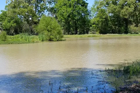 Cajun Campground