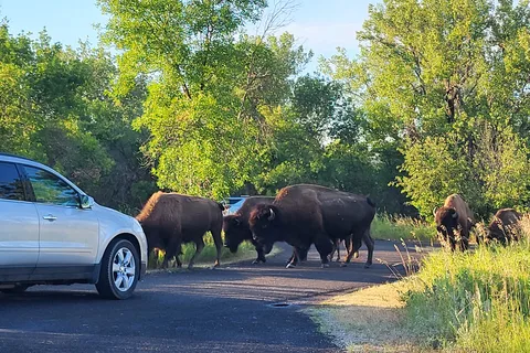 Juniper Campground - Theodore Roosevelt National Park