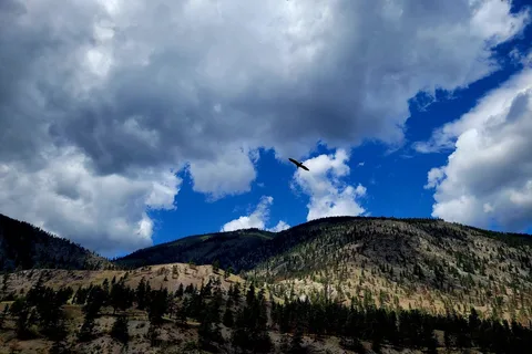 Goldpan Provincial Park