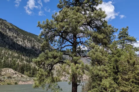 Goldpan Provincial Park