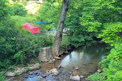 Yough Lake Campground at Tub Run