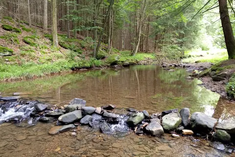 Clear Creek State Park