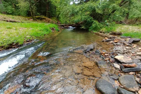 Clear Creek State Park