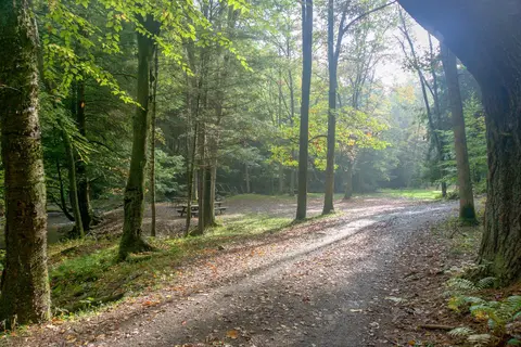 Clear Creek State Park