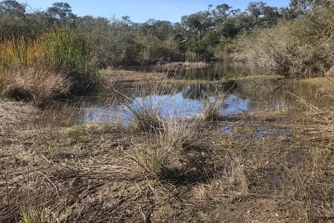 Lantana Loop - Goose Island State Park