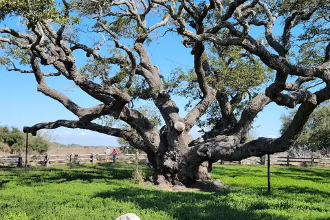 Lantana Loop - Goose Island State Park