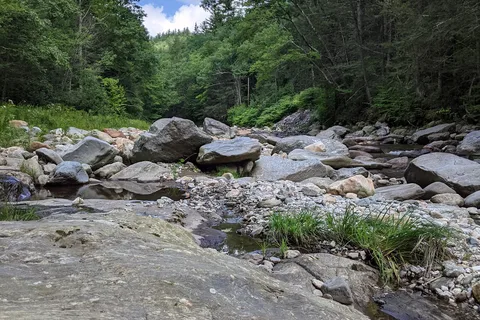 Mohawk Trail State Forest