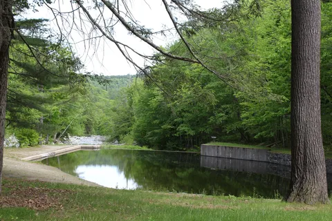 Mohawk Trail State Forest