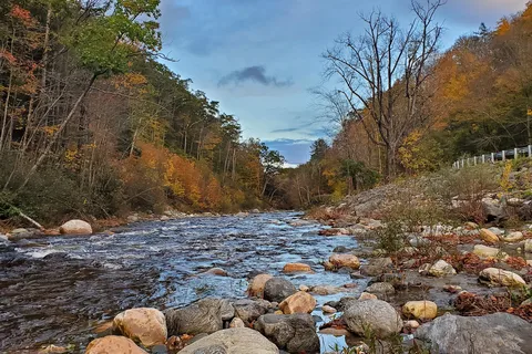 Mohawk Trail State Forest