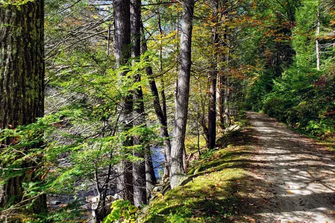 Mohawk Trail State Forest