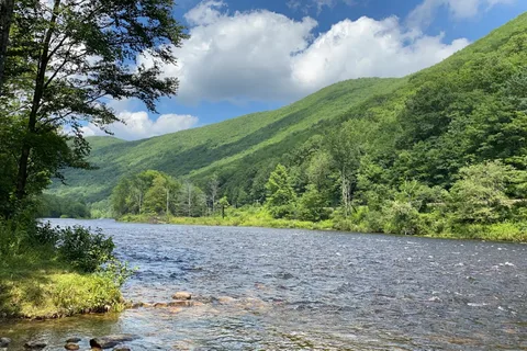 Mohawk Trail State Forest