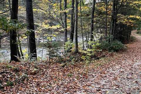 Mohawk Trail State Forest