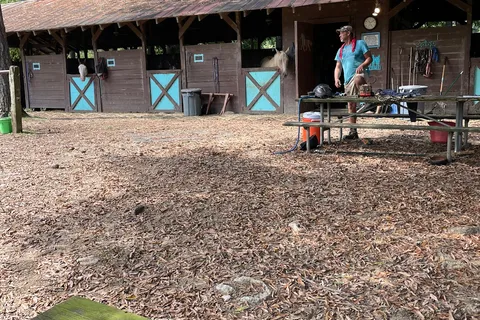 Equestrian - Oak Mountain State Park