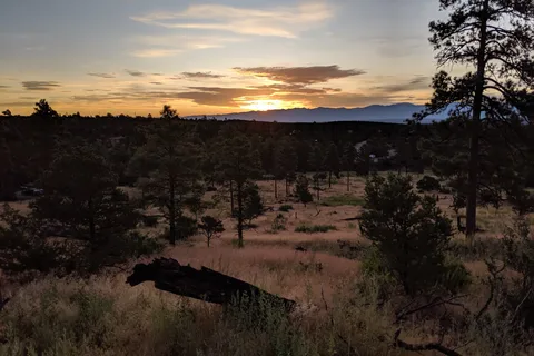 Juniper Campground - Bandelier National Monument