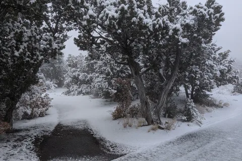 Juniper Campground - Bandelier National Monument