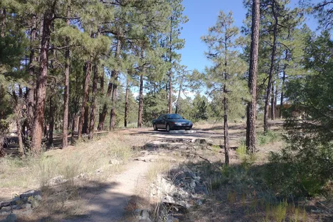 Juniper Campground - Bandelier National Monument