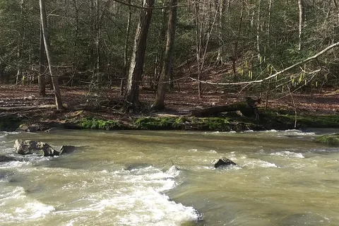 Croft State Park