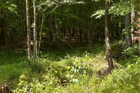 Croft State Park