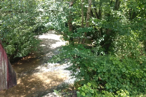 Croft State Park