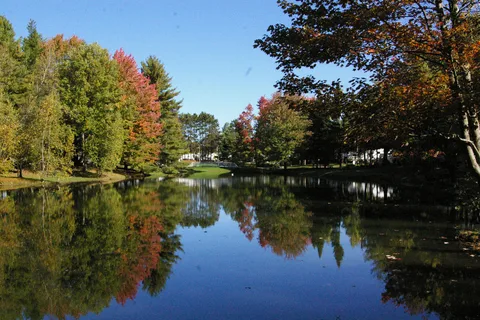 Camping Domaine Tournesol
